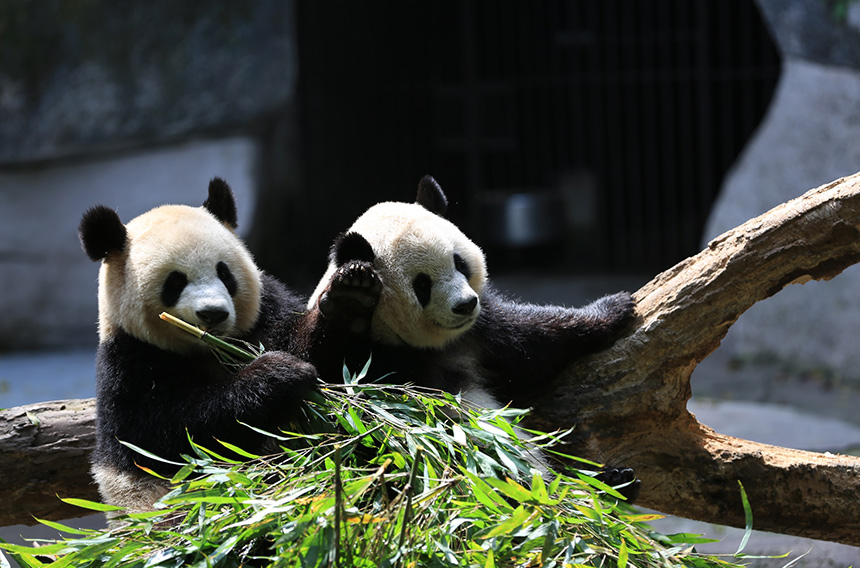 生物多样性；